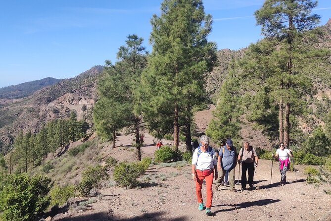 Day Hike in Roque Nublo - Hiking Route