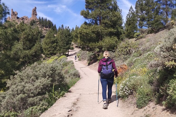 Day Hike in Roque Nublo - Scenic Views