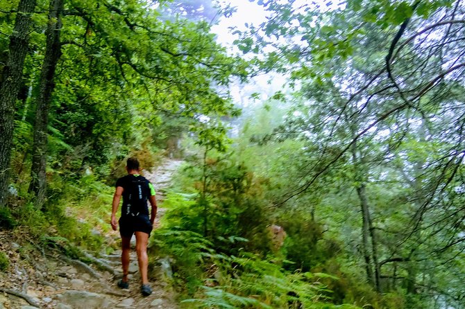 Day Hike in the Mountains of Sanremo - Authenticity and Distribution of Reviews