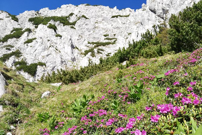 Day Hike PRIVATE - Piatra Craiului National Park - Included Services