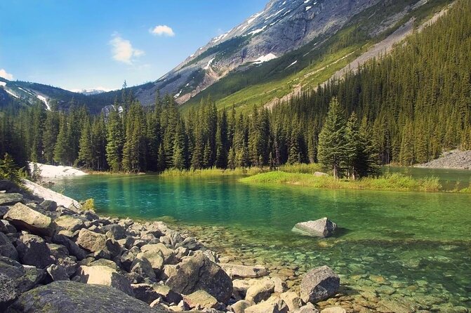 Day Hike to Glacier Ojo Del Albino and Laguna Esmeralda - Required Fitness Level