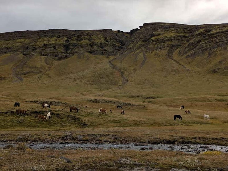 Day Hike to Grimannsfell: Waterfall & Legacy - moderate - Good To Know
