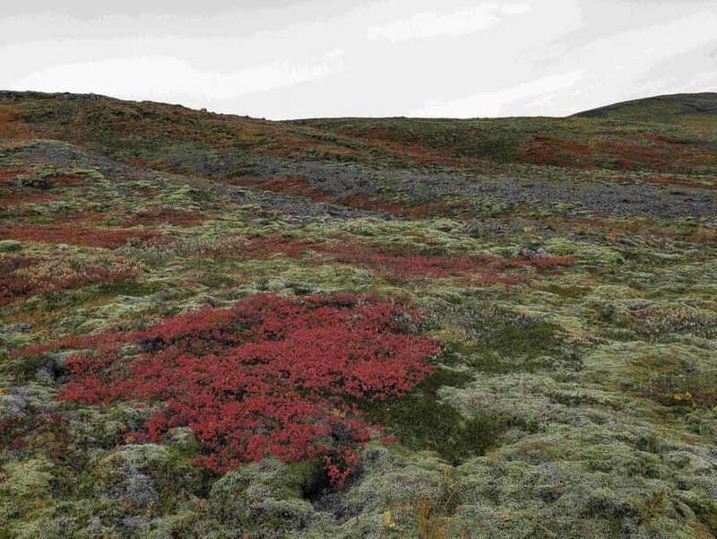 Day Hike to Grimannsfell: Waterfall & Legacy - moderate - Practicalities and value