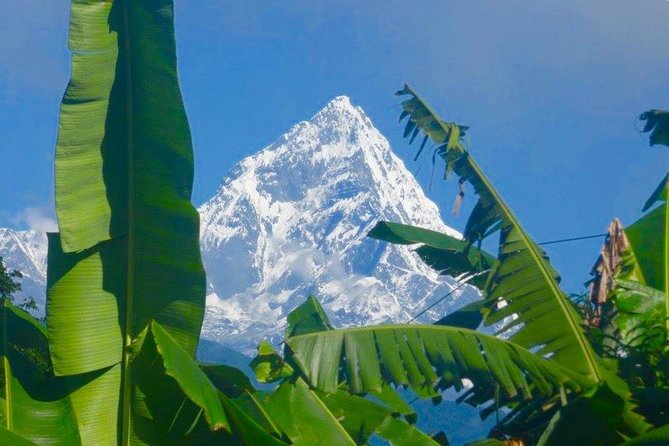 Day Hike to Kalika From Pokhara Nepal - Overview of the Kalika Day Hike