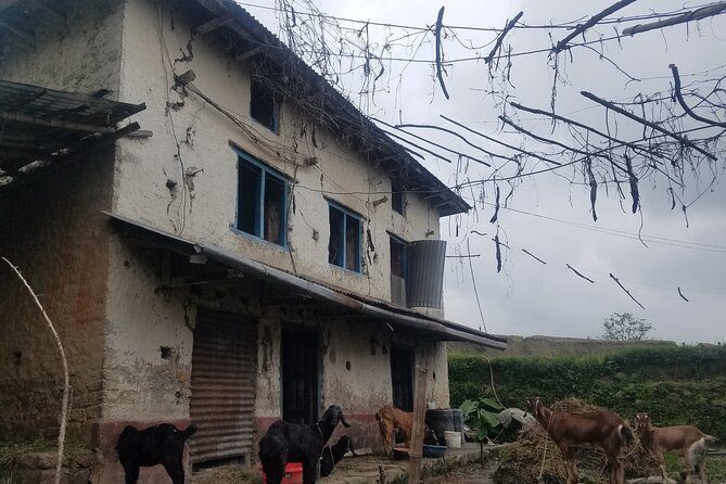 Day Hike to Kunchepwakal Village - Trail Highlights and Scenic Views