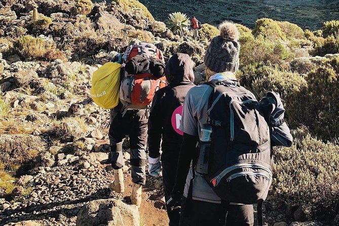 Day Hike to Mount Kilimanjaro (Mandara Hut) - Meeting Point and Time