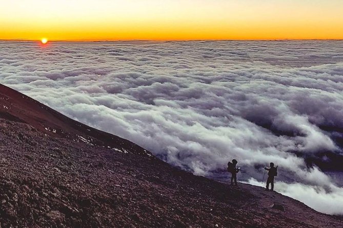 Day Hike to Mount Kilimanjaro (Mandara Hut) - Accessibility and Fitness Level