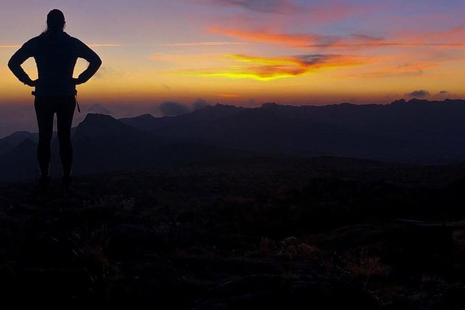 Day Hike to Mount Kilimanjaro (Mandara Hut) - Pickup Information