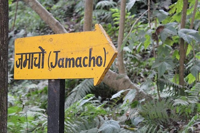 Day Hike to Nagarjun Hill - Post-Hike Relaxation