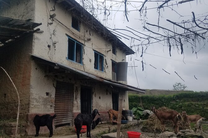 Day HIke to Shantidham - Wildlife Encounters