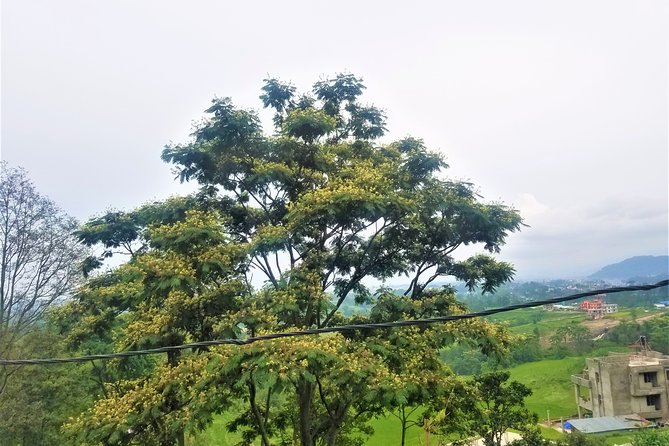 Day HIke to Shantidham - Picnic Spot