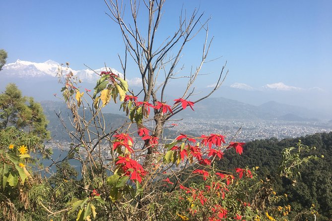 Day Hiking From Sarangkot to World Peace Pagoda From Pokhara - Cultural Significance of the Pagoda