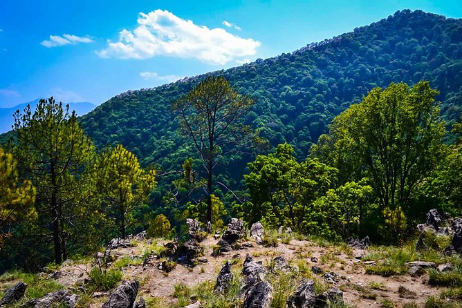 Day Hiking Tour in Kathmandu Suitable for Small Group, Family and Children. - Suitable Group Sizes