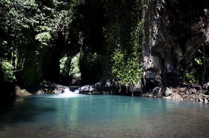 Day in Lovina - Exploring the ‘Day in Lovina’ Experience