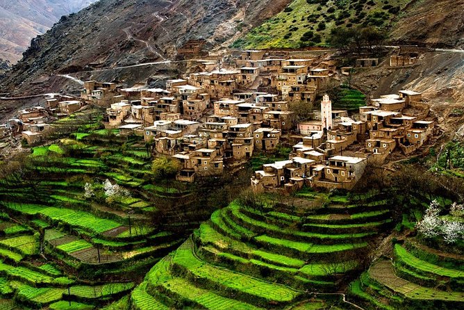 Day in the Atlas Mountains With Camel Ride - Itinerary Highlights