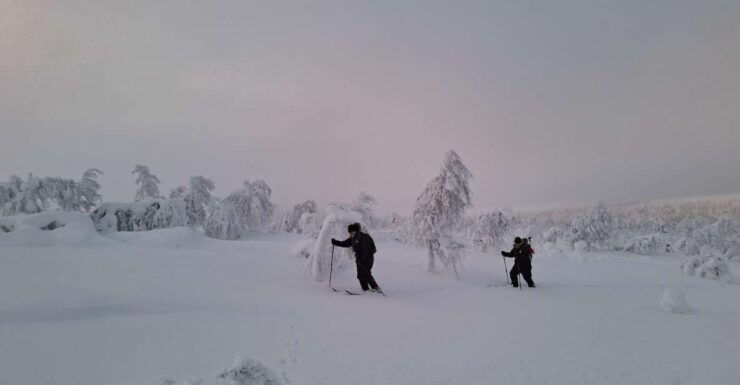 Day in the Tundra - Winter Trek & Smoke Sauna - Experience Highlights