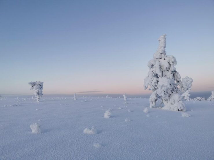 Day in the Tundra - Winter Trek & Smoke Sauna - Full Description