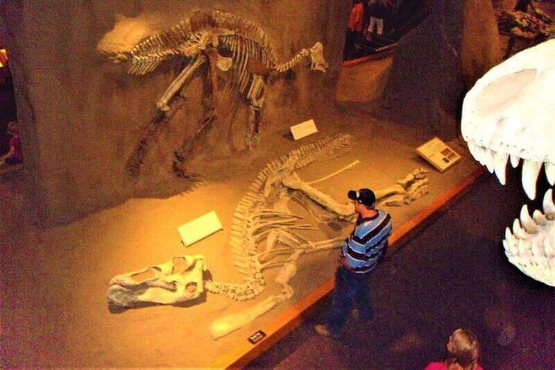 Day of Dinosaurs and Hoodoos From Calgary to the Badlands - Discover Alberta’s Hidden Gems: The Day of Dinosaurs and Hoodoos Tour from Calgary