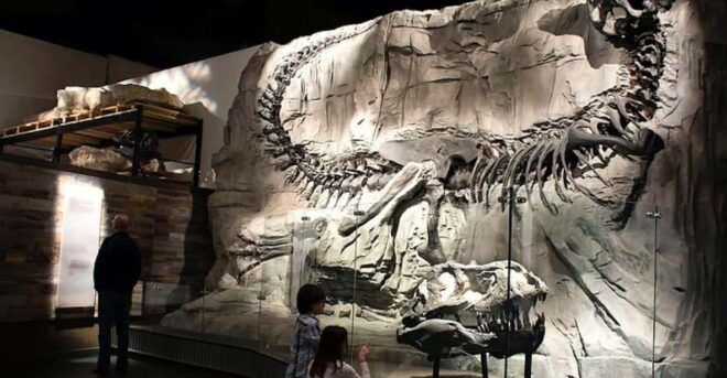 Day of Dinosaurs and Hoodoos From Calgary to the Badlands - Encountering the Hoodoos