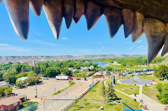 Day of Dinosaurs and Hoodoos From Calgary to the Badlands - Discovering the Horseshoe Canyon Trail