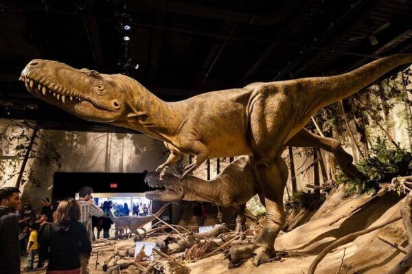 Day of Dinosaurs and Hoodoos From Calgary to the Badlands - Transportation and Logistics