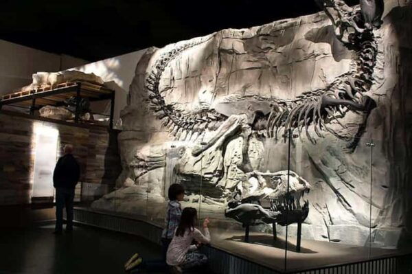 Day of Dinosaurs and Hoodoos From Calgary to the Badlands - Frequently Asked Questions