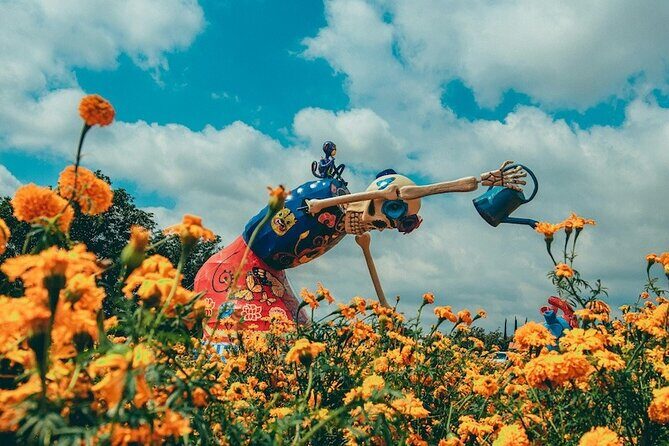 Day of the Dead Tour in Atlixco from Mexico City - Good To Know