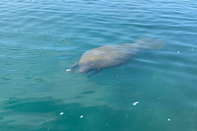 Day or Sunset Tour Through the Condado Lagoon. Choose Kayak or Paddleboard - Meeting Point and Directions