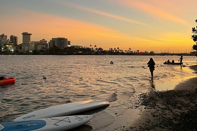 Day or Sunset Tour Through the Condado Lagoon. Choose Kayak or Paddleboard - The Sum Up