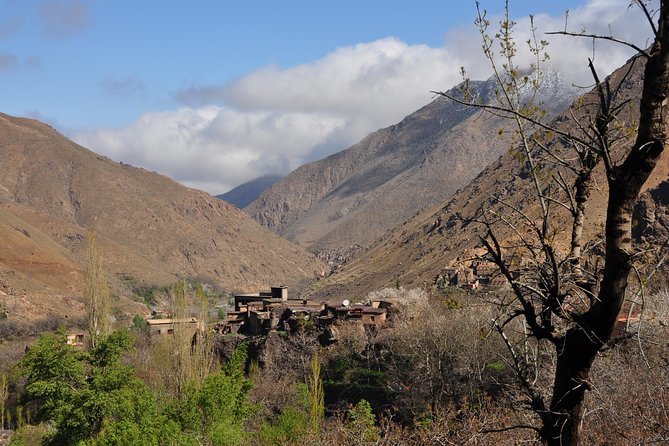 Day Out With a Berber to High Atlas Mountains - Traveler Photos and Reviews