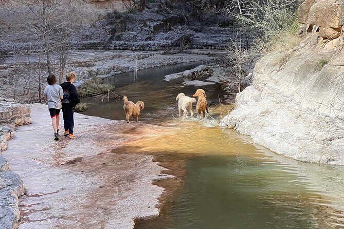 Day Pass to Explore the Lost Mining City of Chrysotile - Value and Overall Impression