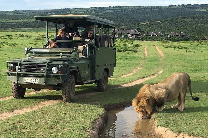Day Safari at Pumba Private Game Reserve - Inclusions