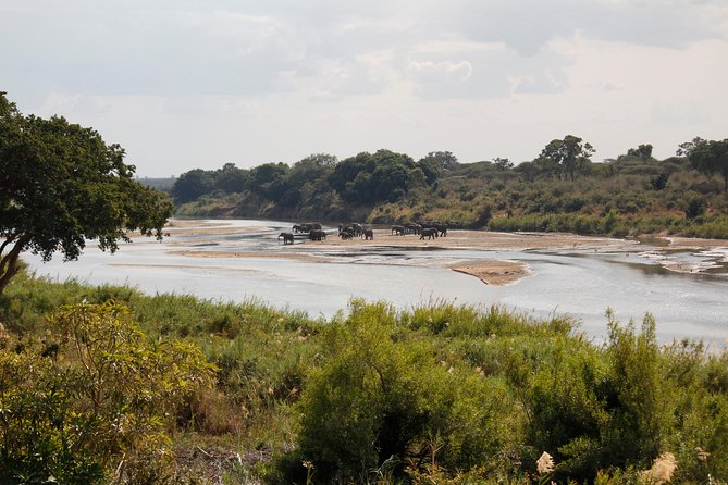 Day Safari in Kruger Park - Frequently Asked Questions