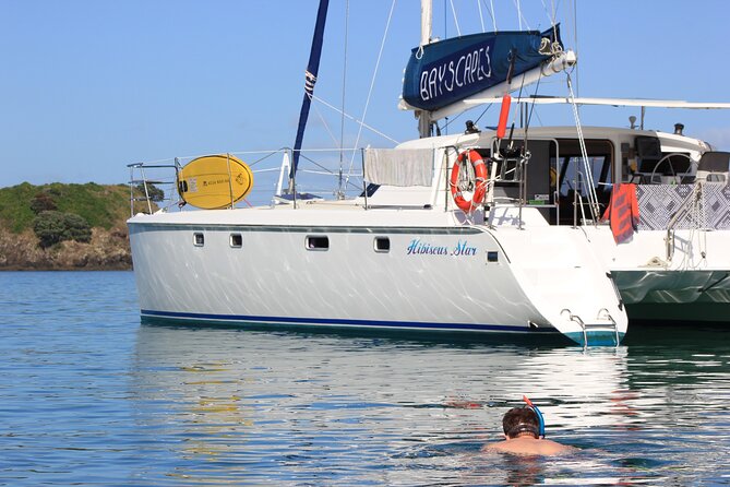 Day Sailing Catamaran Charter in Bay of Islands - Questions and Additional Information