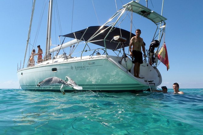 Day Sailing Trip. Exclusive. - Common Questions