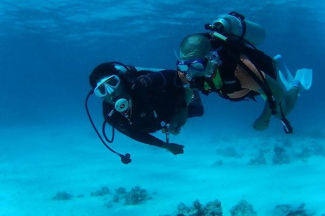 Day Scuba Diving Trip From Hurghada - Good To Know
