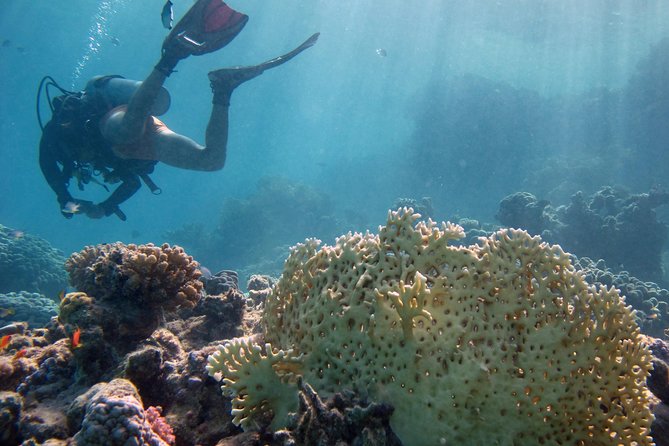 Day Scuba Diving Trip From Hurghada - Meeting and Pickup