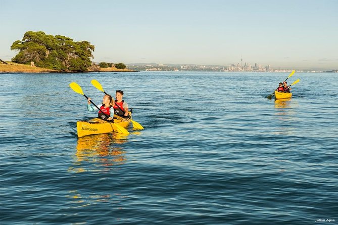 Day Sea Kayak Tour Rangitoto Island - Additional Information