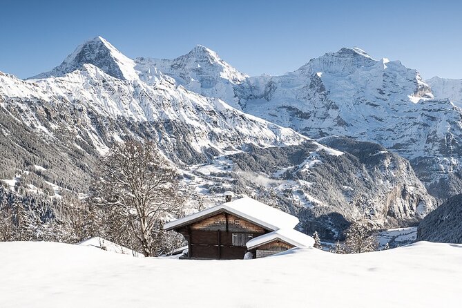Day Sledding in Interlaken - Common Questions