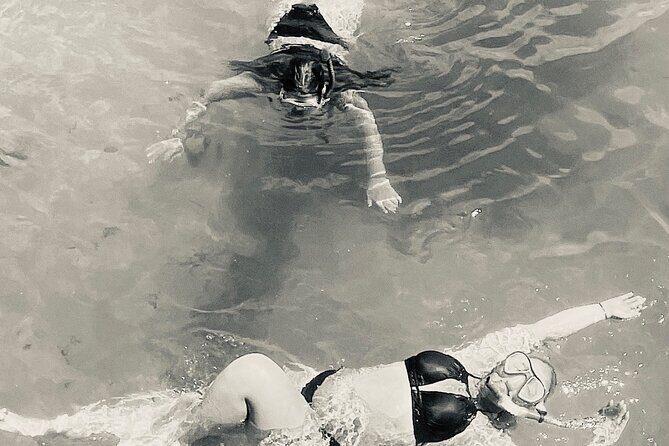 Day Snorkeling Tour in Orange Beach - The Boat & Meeting Point