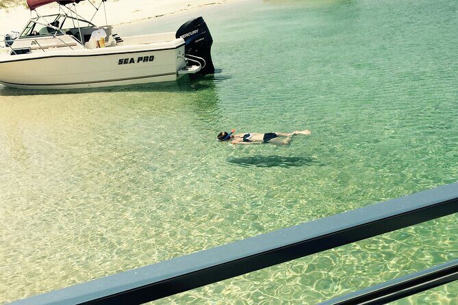 Day Snorkeling Tour in Orange Beach - Duration & Group Size