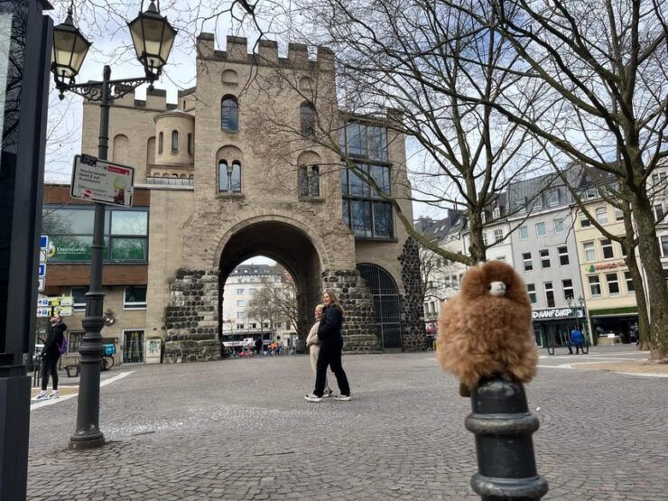 Day Tour Aachen & Cologne From Brussels - Itinerary Details