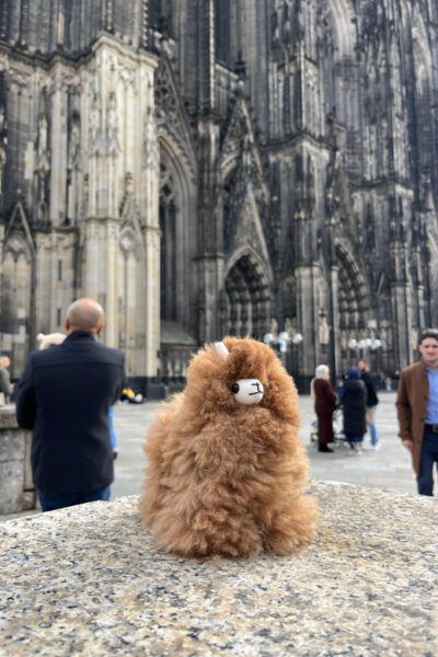 Day Tour Aachen & Cologne From Brussels - Inclusions and Exclusions