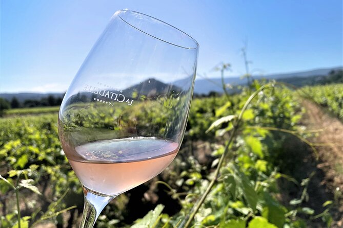 Day Tour Aix En Provence & Wine in Côtes De Provence Sainte-Victoire - Traveler Reviews and Recommendations
