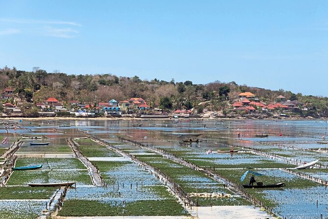 Day Tour and Snorkeling to Lembongan From Bali - Inclusions and Recommendations