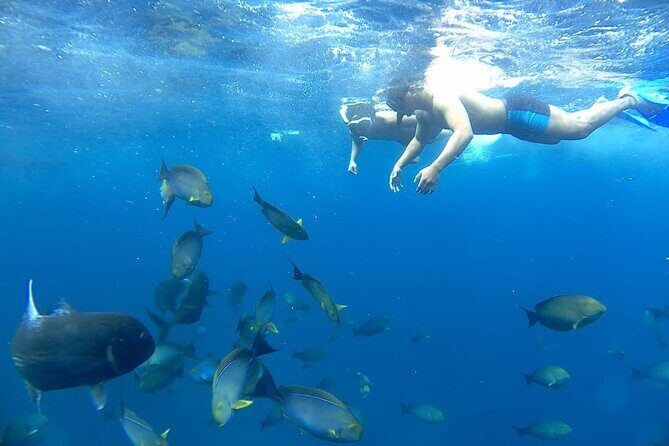 Day Tour and Snorkeling With Manta Rays to Lembongan From Bali - An In-Depth Look at the Tour Experience