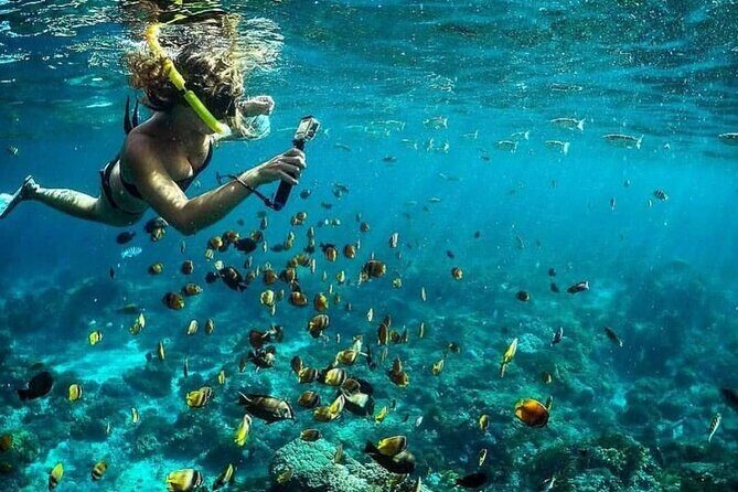 Day Tour and Snorkeling With Manta Rays to Lembongan From Bali - What to Expect from the Tour