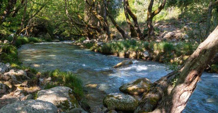 Day Tour at 3 Beautiful Greek Villages at Peloponnese - Itinerary Highlights