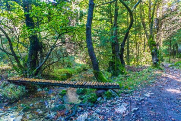 Day Tour at 3 Beautiful Greek Villages at Peloponnese - Frequently Asked Questions