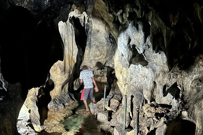 Day Tour at Roaring River and Cave, Blue Hole, Mineral Springs - Booking Information